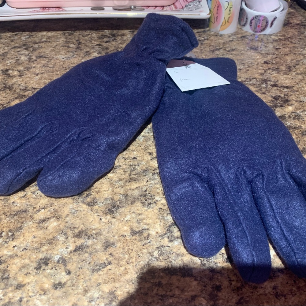Cozy Blue Gloves
